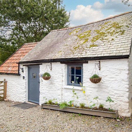 Love Cottage クーム・マーティン エクステリア 写真